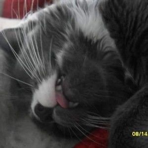 Meet your Posher, Tracy